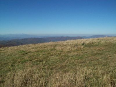 Big Bald 
View...
Photo by Rat,
10-15-2008
