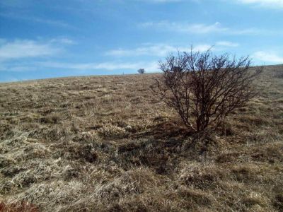 view from Big Bald 3-10-2009
