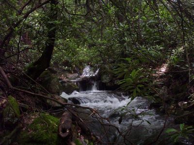 Jones Branch
Jones Branch after heavy rains
