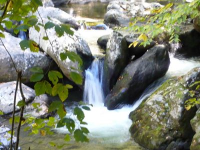 Dry Fork
Photo courtesy of Dave Aldridge
