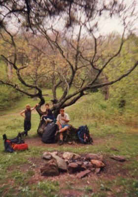 THE Gnarley tree
Bly gap along the AT near NC/Ga line
