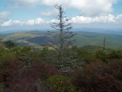 Grayson Highlands
