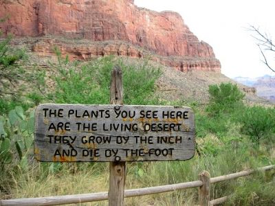 Cool Sign
Pic submitted by LowRider 7_24_09
