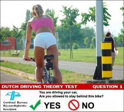 Bike Humor
tough questions...
