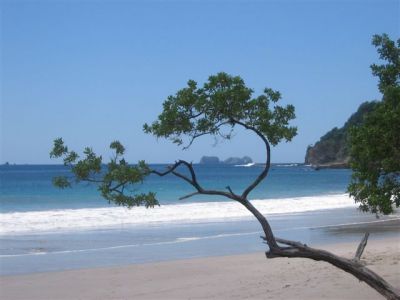Costa Rica Beach View
 Photograph  by Lisa Lemmons-Powers
