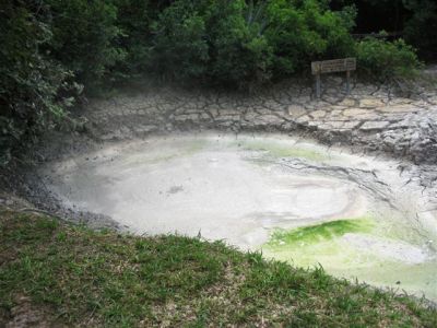  Photograph  by Lisa Lemmons-Powers
