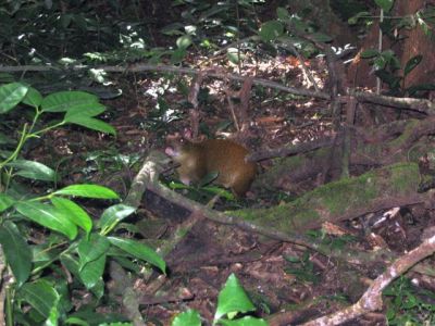  Photograph  by Lisa Lemmons-Powers
