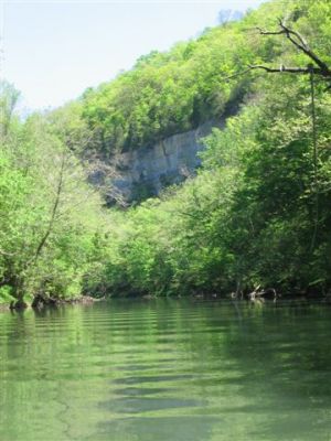 Powell River
Photo by Lisa Lemmons-Powers
