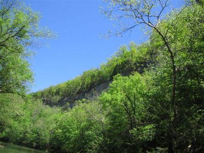 On The Powell River...
Photo by Lisa Lemmons-Powers
