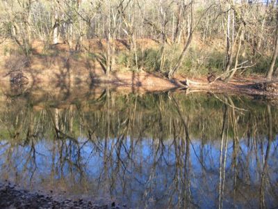 Powell_river,_VA-TN-reflections.JPG