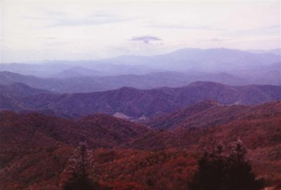 Roan Mountain
View...
Photo by Lisa Lemmons-Powers
