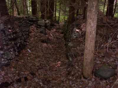 Old Rock Formation in Mill Creek
Perhaps an old corn crib, or 'tater cellar  near the old homestead site? Taken by Bol'Dar 6-09
