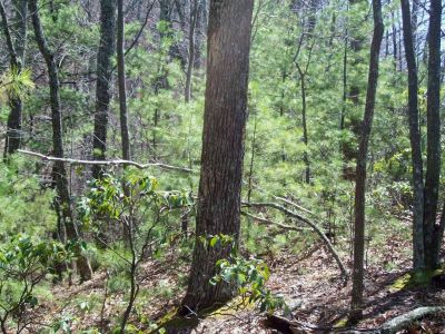 Stealth Pack Gap
Approaching 'stealth pack gap' 
