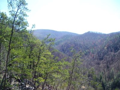View From Sill Branch Overlook
View of North Fork Sill Branch from 'Monkey-Head Rocks'
