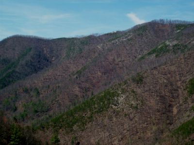 View From Sill Branch Overlook
Looking off cliff-rocks towards Sampson Mountain...note the 'Big Rock Top' just left of 'Flattop' (high point of Sampson Mountain)
