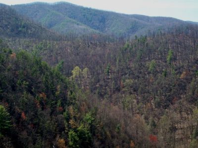 View From Sill Branch Overlook
South Sill Branch, and the 'Land-bridge' that connect the two lower Big Pine Ridge Knobs, with Devil's Fork in the distance

