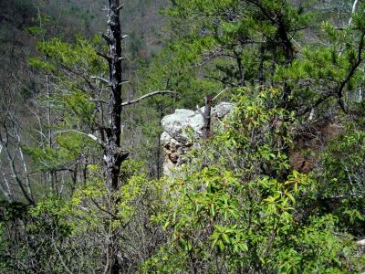 Sill Branch Overlook
Everywhere you look
