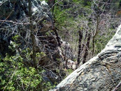 Sill Branch Overlook
very steep 

