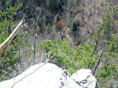 Sill Branch Overlook
Looking straight down at Sill Branch trail where lower falls trail intersection is from the top of the cliff rocks

