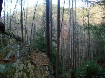 Sill Branch Overlook
...as seen from bottom in Sill branch where trail to lower falls starts
