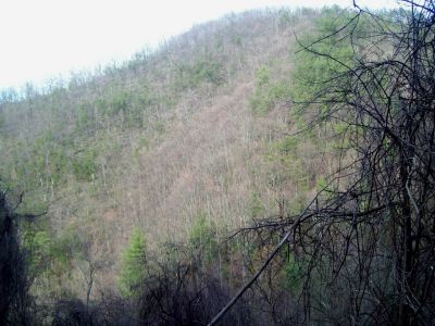 Meatgrinder Ridge
As seen from the Middle Ridge
