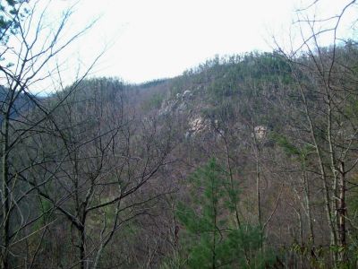 Sill Branch Overlook
Looking over at the cliffs from the 'middle' ridge after having stood on them earlier in the day.
Photo by Rat Patrol,
April, 2009
