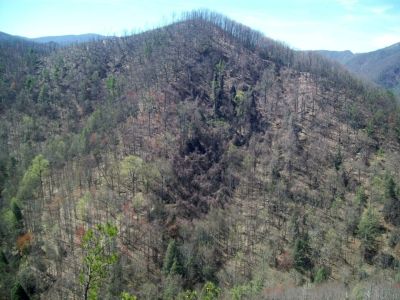 View From Sill Branch Overlook
view from rocks of what we call 'the volcano'
