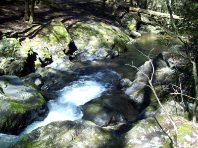 Clarks Creek
'Peters Hole"  swimming hole 
Photo by Rat
