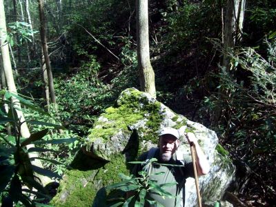 Camo Rat Rock
Find Rat 
...On the way to the Sill Branch Overlook. 
