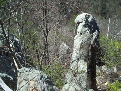 Sill Branch Overlook
looking down upon the 'bird-Head' rock at the Sill Branch Overlook
