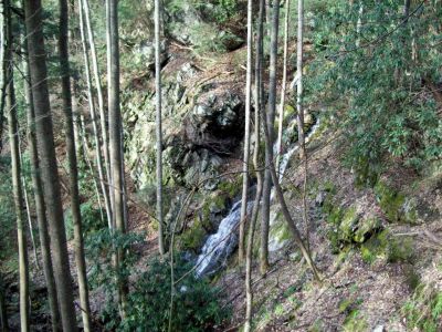 Upper North Fork Sill Br Falls 
more pics as we pass by
