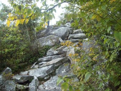 Fire-Scald Ridge Trail
Rat's Birthday Hike of '08
...more rocks to climb
