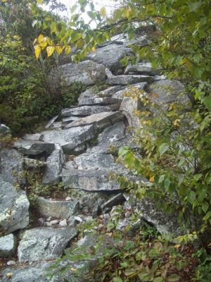 Fire-Scald Ridge Trail
rocky trail
