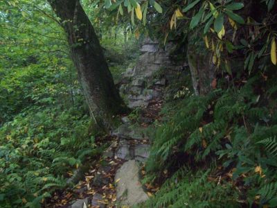 Fire-Scald Ridge Trail
Ridge Trail to Bear-Wallow Gap
Rat's Birthday Hike of '08
