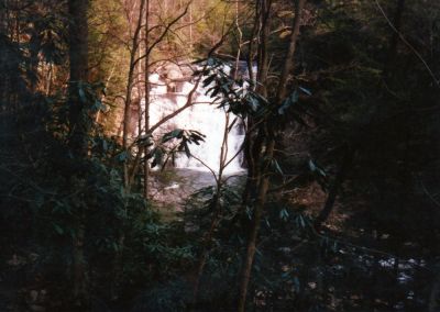 Laurel Falls
Dennis Cove along the AT 
