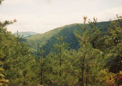 View of 'Li'l Butte'
...from somewhere near Wilson Knob, 
vintage photo, circa late 1980's by Rat
