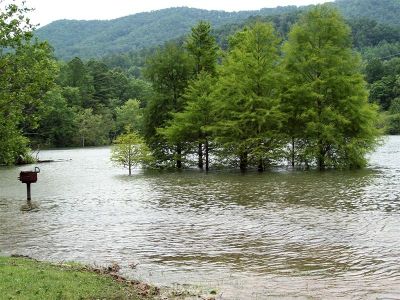 Watauga lake
highest water level in years 
June, 2009 
Photo By Rat

