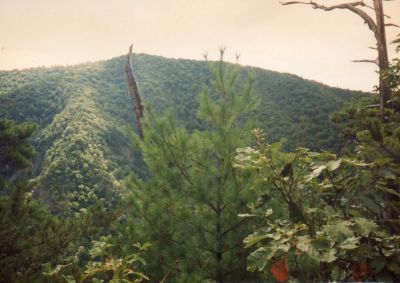 wilson knob
as seen from sampson mountain
