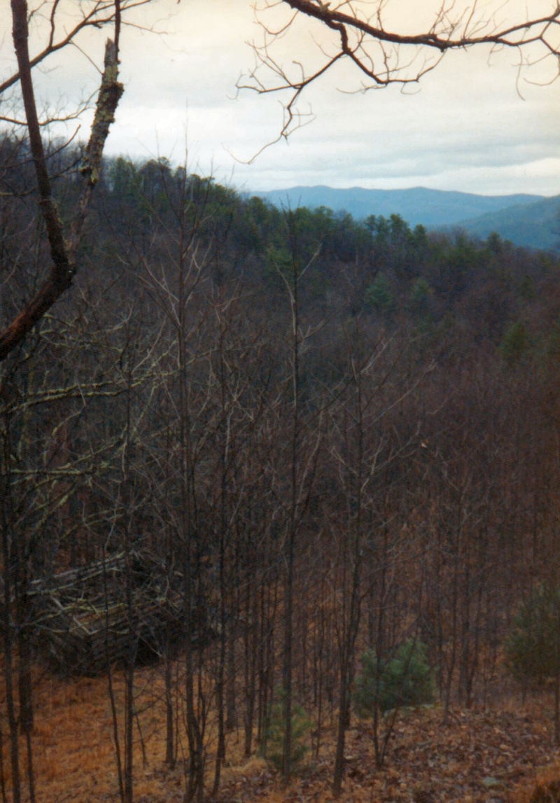 old_homestead_mill_cr.jpg