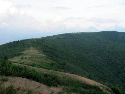 Grassy Ridge
...on Roan Mountain
Photo by RAT 
7-11-2010
