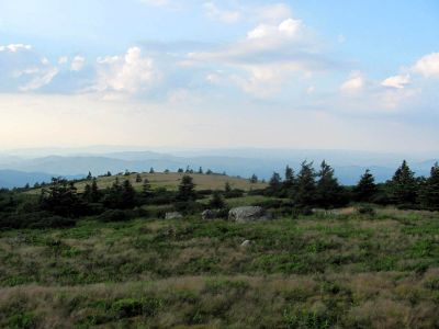 View From Grassy Ridge Trail
...on Roan Mountain
Photo by RAT 
7-11-2010
