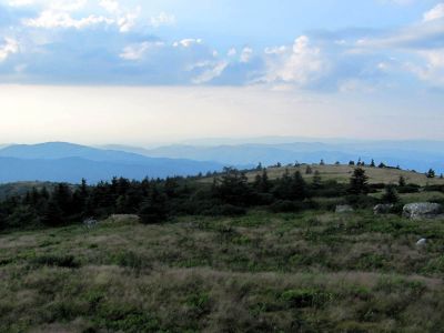 View From Grassy Ridge Trail
Roan Mountain
Photo by RAT 
7-11-2010
