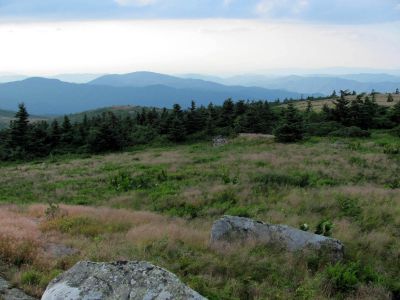 View From Grassy Ridge
Roan Mountain
Photo by RAT 
7-11-2010

