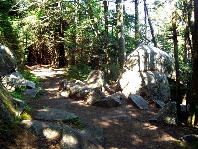 Boulders along trail to High Bluff
Photo by Rat
6-24-09
