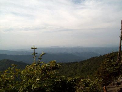 View from Sunset Rock
Roan Mountain
Taken 6-24-09
