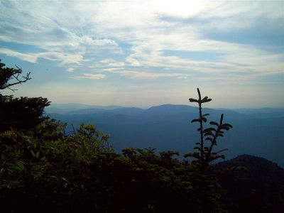 View from Sunset Rock
On Roan Mountain,
 6-24-09
