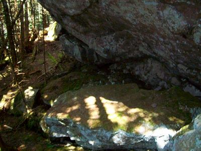 Stealth Trail
...off of the Roan High Knob Trail. 
 6-24-09
