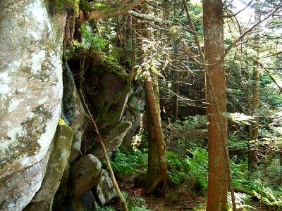 Stealth Trail
We found this cool stealth trail that led to a small cave while exploring. Taken 6-24-09

