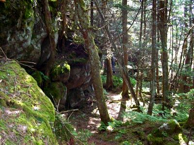 Stealth Trail
Near Roan High Knob
