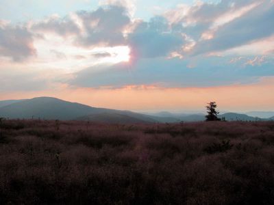 View From Grassy Ridge Trail
Roan Mountain
Photo by RAT 
7-11-2010
